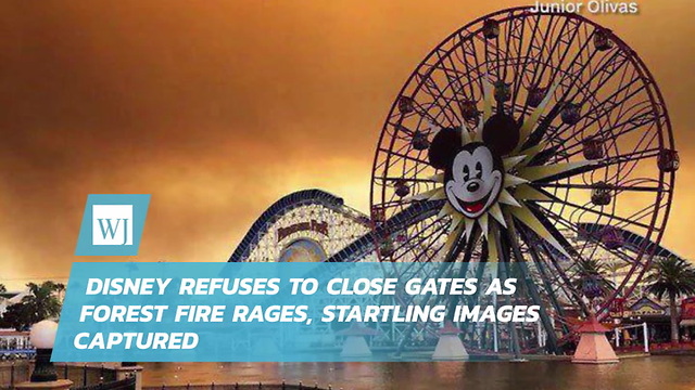 Disney Refuses To Close Gates As Forest Fire Rages, Startling Images Captured