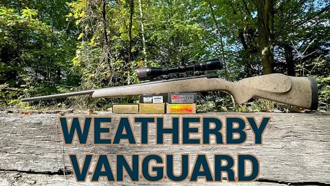 The High End Yet Budget Friendly Weatherby Vanguard