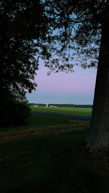 A Week In Pictures -End Of May '21