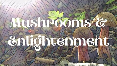 Mushrooms and Enlightenment (TTCML 3)