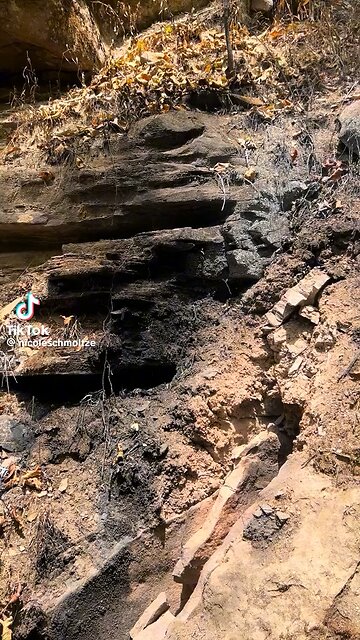 How forest fires start