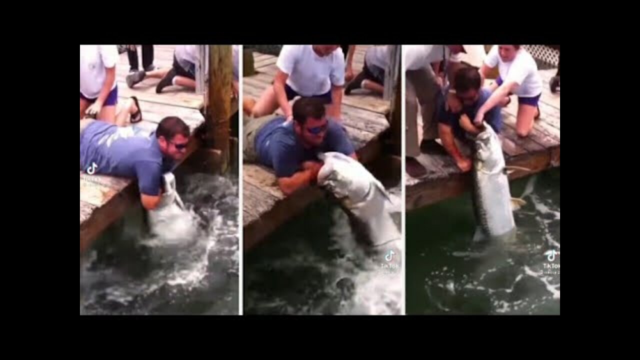 Fish Grabs Man's Arm! (THE Original Video) - Tarpon Smackdown