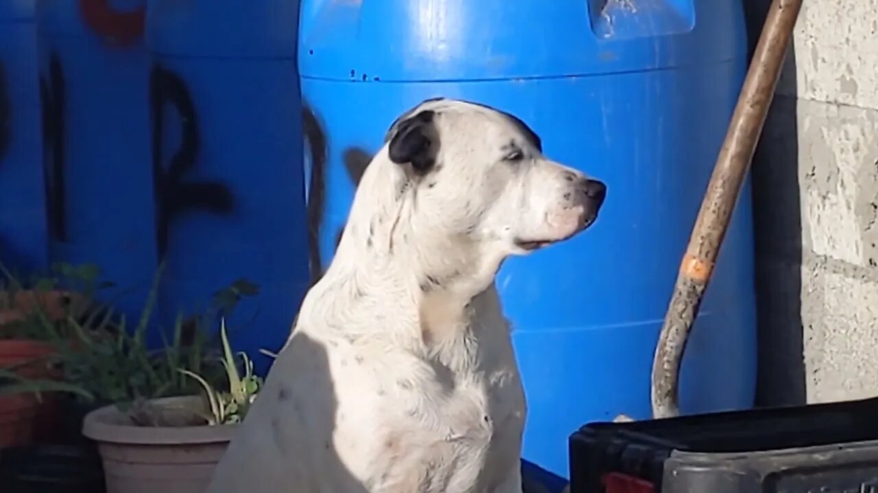 The Pack Bath Begind