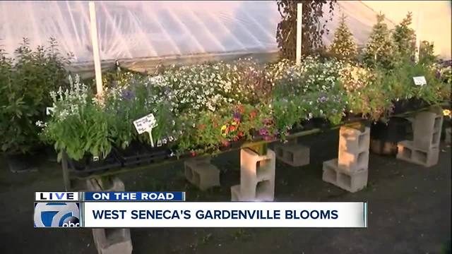 Focus on family at West Seneca's Gardenville Blooms