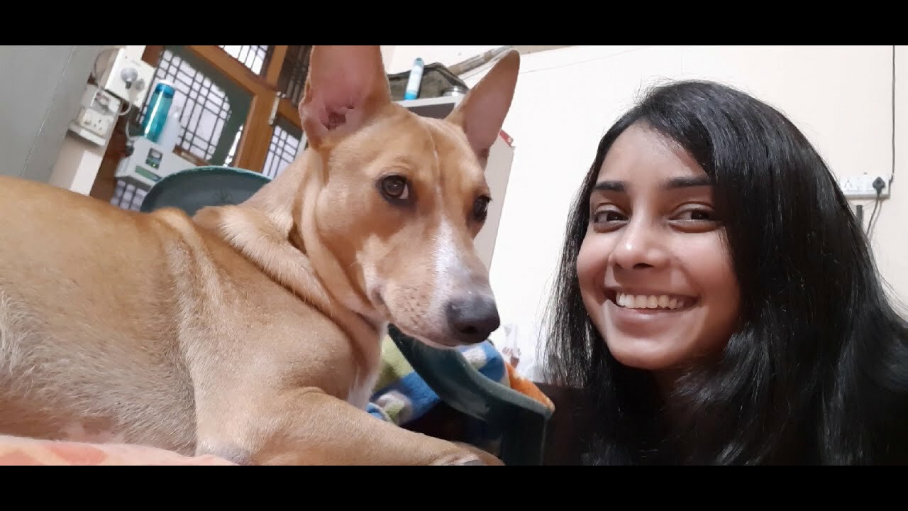 Unconditional love between my dog and little girl ||rottweiler dog.