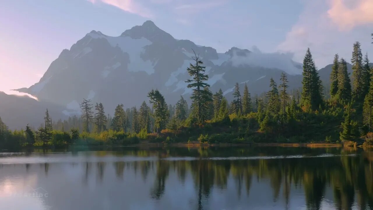 8 HOURS of Birds Singing and Water Sounds - Relaxing Nature Sounds - Sleeping - For good sleep