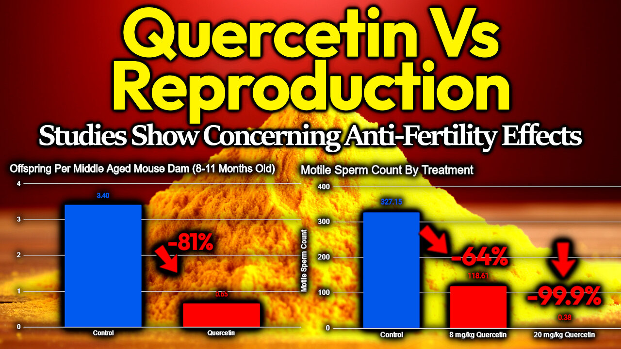 Quercetin Vs Reproduction: 99.9% Fewer Moving Sperm, 81% Reduction In Pups For Middle Aged Mice