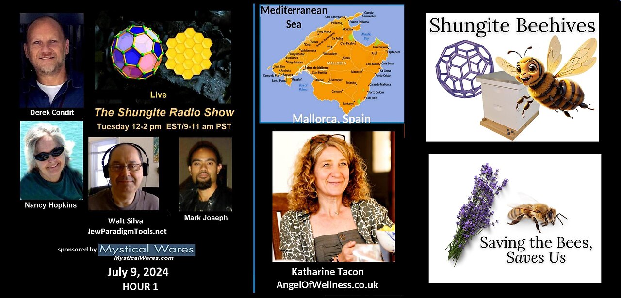 HOUR 1 - SHUNGITE REALITY 7-9-24 - Katharine Tacon on Shungite Beehives