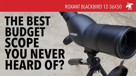 Roxant Blackbird 12-36x50mm Spotting Scope