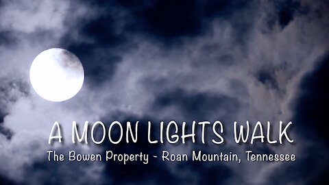 Moonlight Walk on the Bowen Property