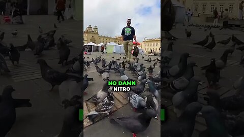 Plaza Bolivar, Feeding The Birds