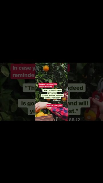 A Reminder From God That We All Need in Difficult Times. Mamas, Don’t Miss This One