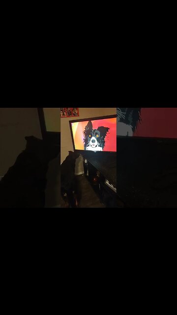 Bella acting silly #dog #barkbark #germanshepherd #funny #bella