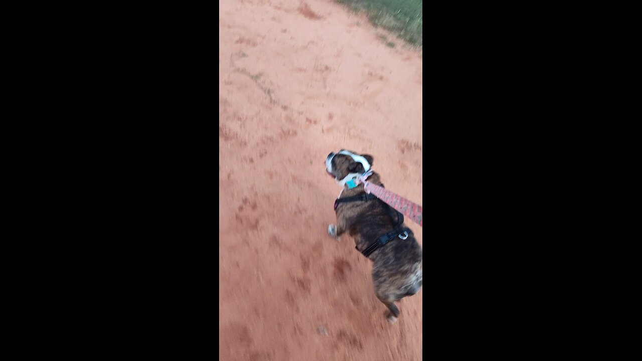 Emma learns baseball!