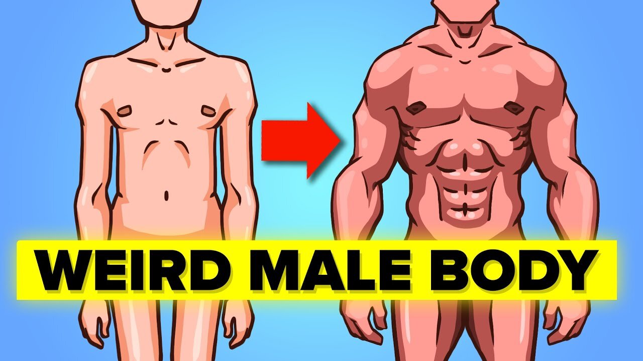 Weird Facts about Male Body