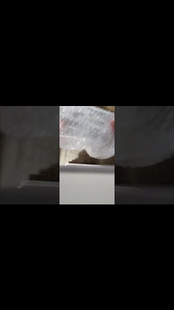 Unboxing surprise mail! What's in the BOX?!? #shorts