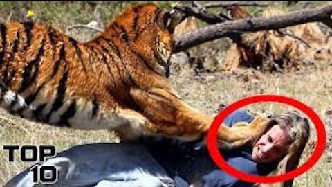 Zoo Mishaps NEW 2021 HD