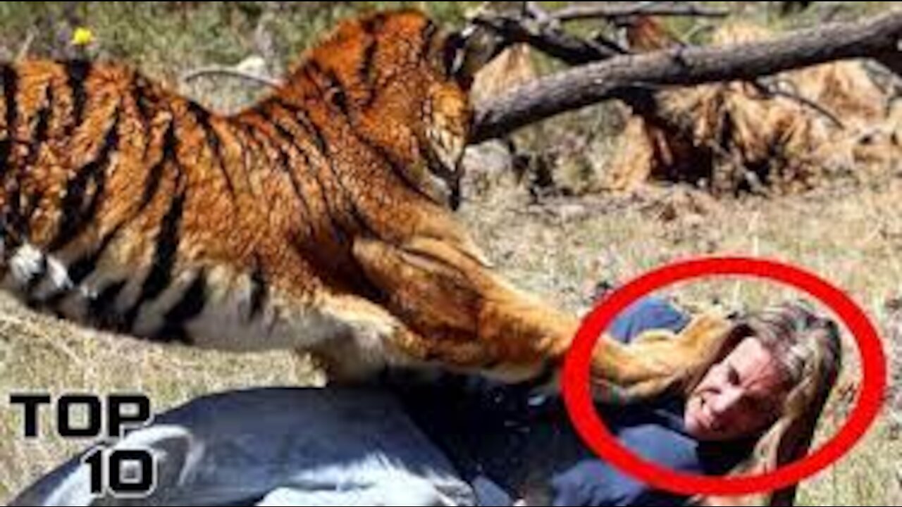 Zoo Mishaps NEW 2021 HD
