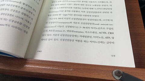 노화학사전 최현석 아세틸콜린 니코틴수용체 중추신경계 교감신경 신경근접합부 신호전달 신경전달물질 뢰비 역리학자 노르에피네프린 엔돌핀 바소프레신 아미노산 신호전달속도 노벨상시