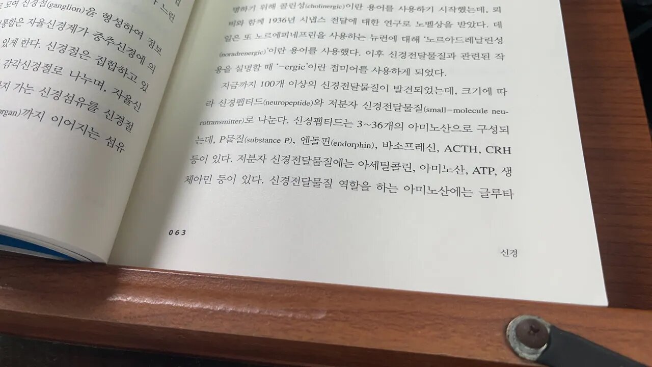노화학사전 최현석 아세틸콜린 니코틴수용체 중추신경계 교감신경 신경근접합부 신호전달 신경전달물질 뢰비 역리학자 노르에피네프린 엔돌핀 바소프레신 아미노산 신호전달속도 노벨상시