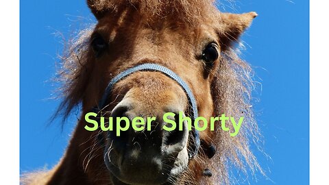 Super Shorty!