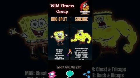 🔥Bro split vs science🔥#shorts🔥#wildfitnessgroup🔥6 November 2022🔥