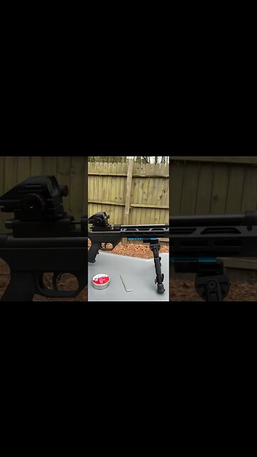 Buck Rail on my Beeman Short