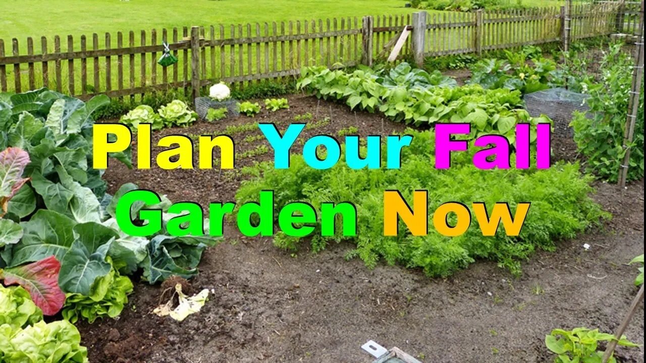 No. 710 – Plan Your Fall Garden Now