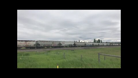 CP Eastbound Grain at Cochrane