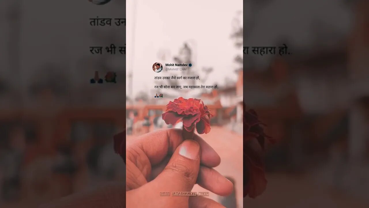 BHOLENATH WHATSAPP STATUS VIDEO || JATASHANKAR DHAM BIJAWAR #bhfyp #mahakaal #shorts