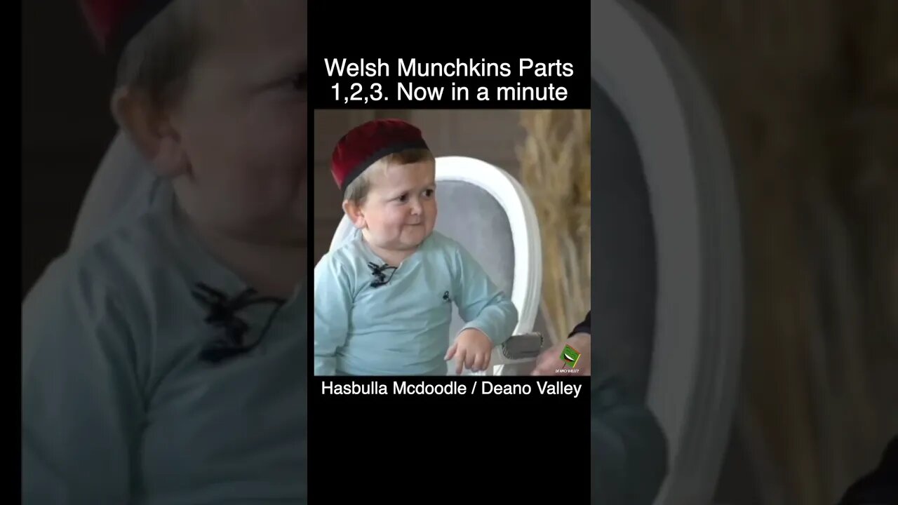 Welsh Munchkins Parts 1,2 and 3 highlights now in a minute. Hasbulla Mcdoodle / Deano Valley