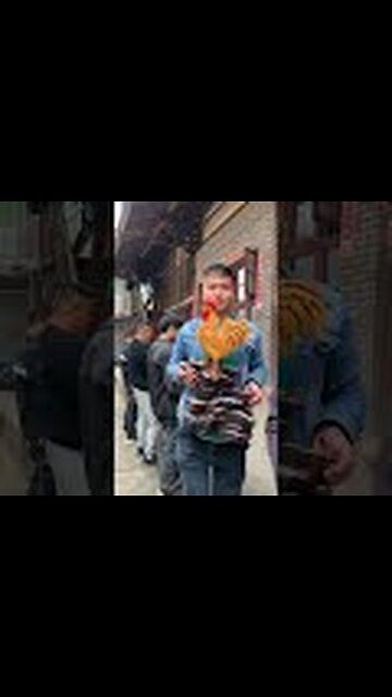 Finest tik toks of the internet ep. 28