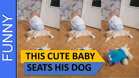 THIS CUTE BABY SEATS HIS DOG