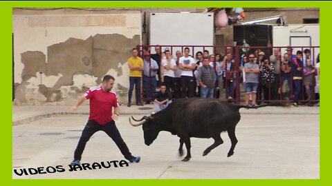 FRÈSCANO ( ZARAGOZA ) TARDE VACAS CALLE ( DOMINGO 16 OCTUBRE 2022 ) EL RUISEÑOR