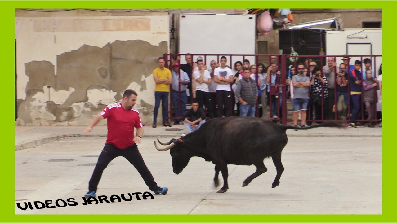 FRÈSCANO ( ZARAGOZA ) TARDE VACAS CALLE ( DOMINGO 16 OCTUBRE 2022 ) EL RUISEÑOR