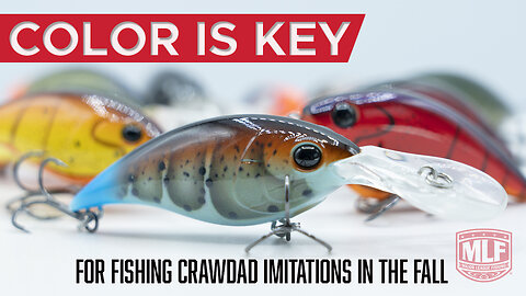 Color is key when fishing crankbaits in the fall and winter