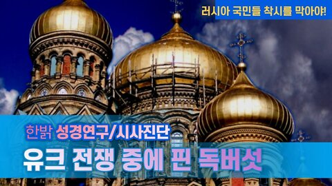 유크 전쟁 중에 핀 독버섯 [한밝 성경연구/시사진단] 220522(일) 한밝모바일교회