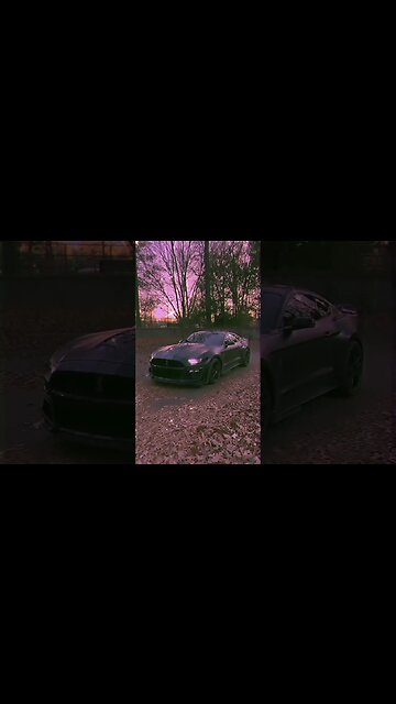 Come ride and vibe 🐍 #ford #mustangsociety #fordperformance #fordracing #shorts