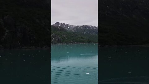 Glacier Bay National Park!