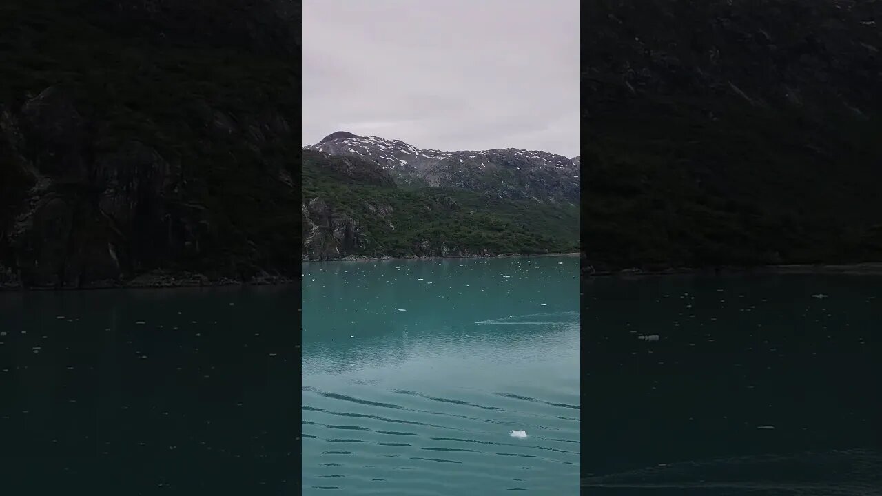 Glacier Bay National Park!