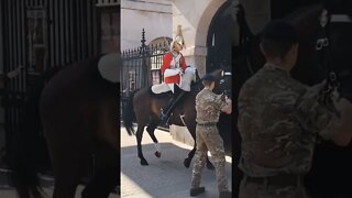 Horse won't go back in the box #horseguardsparade