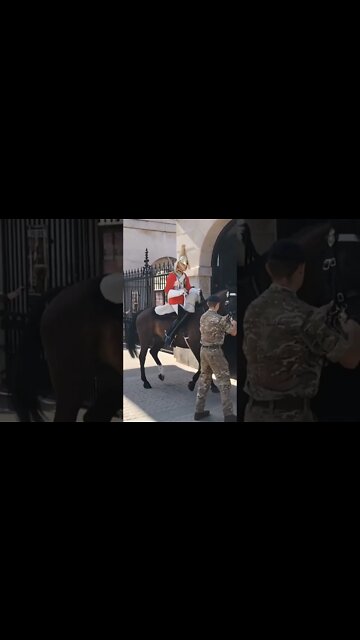 Horse won't go back in the box #horseguardsparade