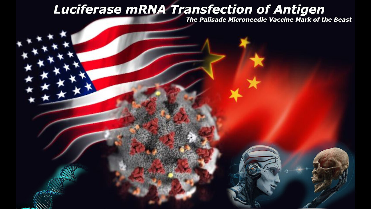 The origins of the Covid Corona Virus