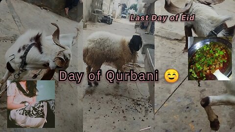 Qurbani Day Vlog ❤️ .... ***emotional | Last day of Eid 😔 | Engineer In Process