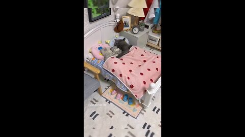 Watch the cat making sounds while sleeping