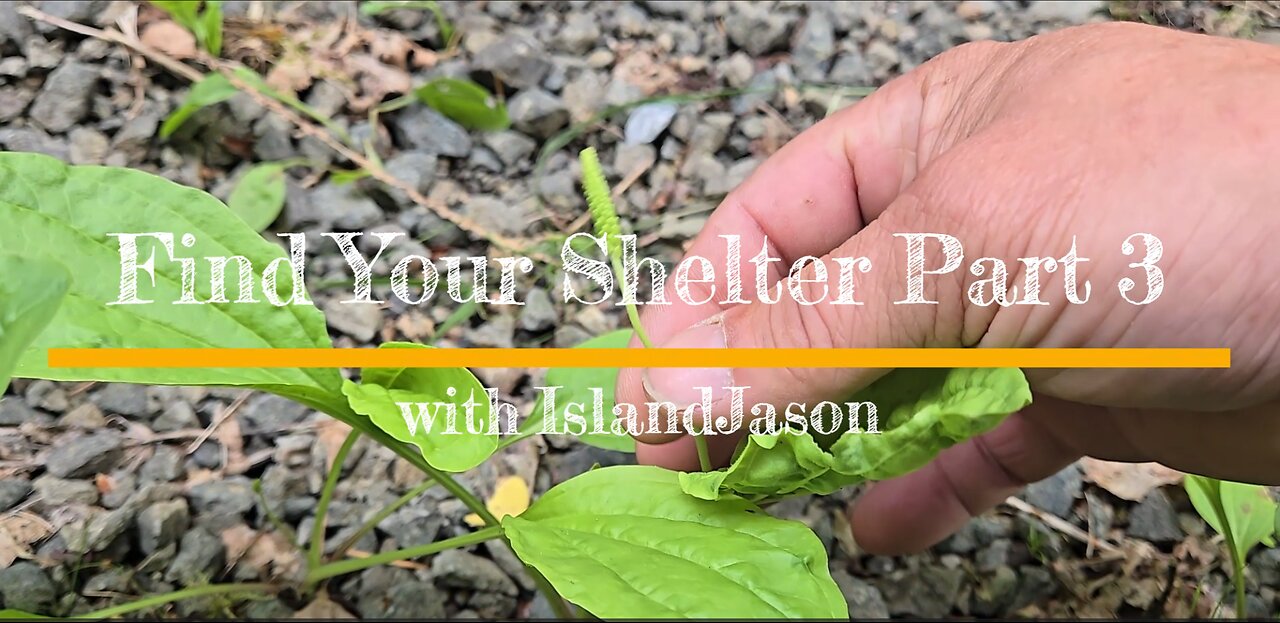 Find Your Shelter Part 3 with IslandJason