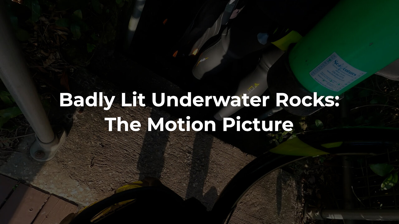 Badly Lit Underwater Rocks: The Motion Picture