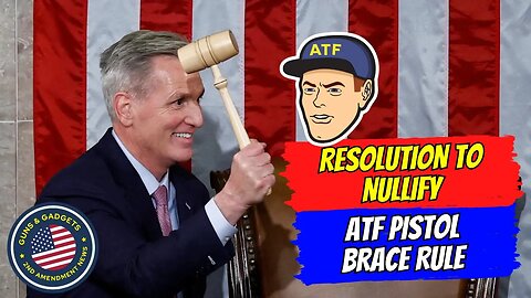 Resolution To Nullify ATF Pistol Brace Rule To Get Vote