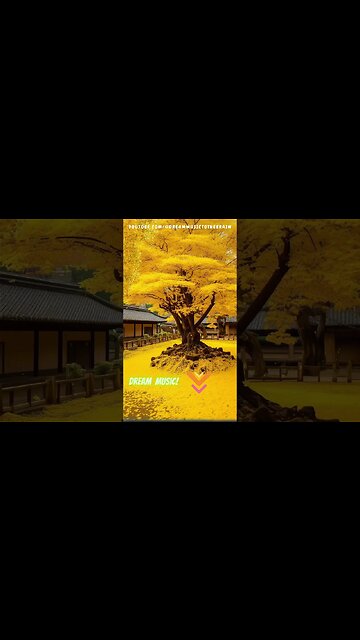 Quick Unplug: 40-Second Wind Chime Harmony 🎐 | #Shorts