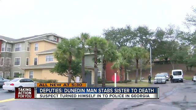 Sheriff: Dunedin man stabs sister to death